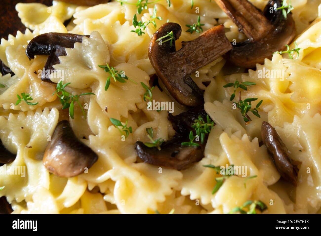 pâtes aux champignons et au basilic, au vin blanc, texture gros plan Banque D'Images