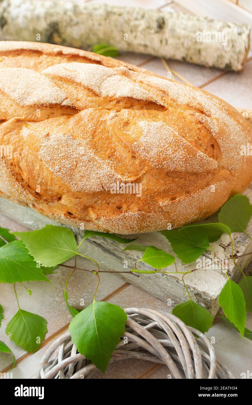 Produits de boulangerie. Pain croustillant et magnifique sur fond clair avec branche de bouleau vert. Banque D'Images