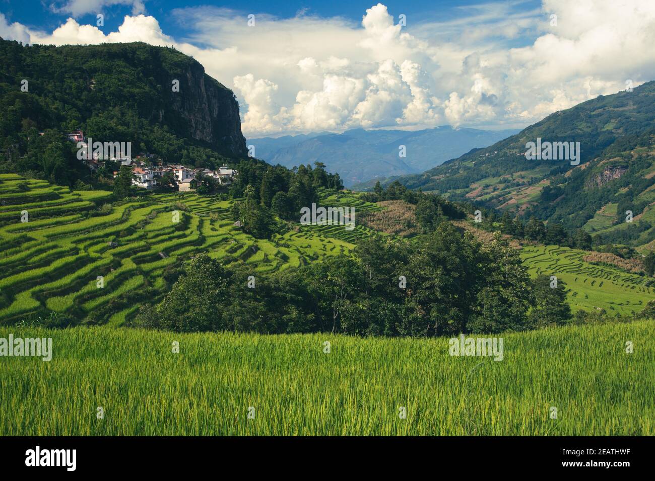 Terrasses de riz et vallée en Chine de Yuanyong Banque D'Images