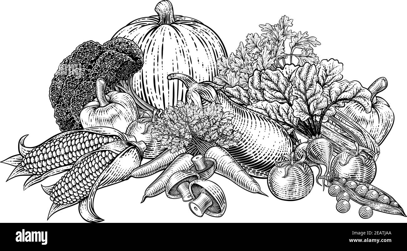 Légumes fruits produits alimentaires Illustration coupe de bois Illustration de Vecteur