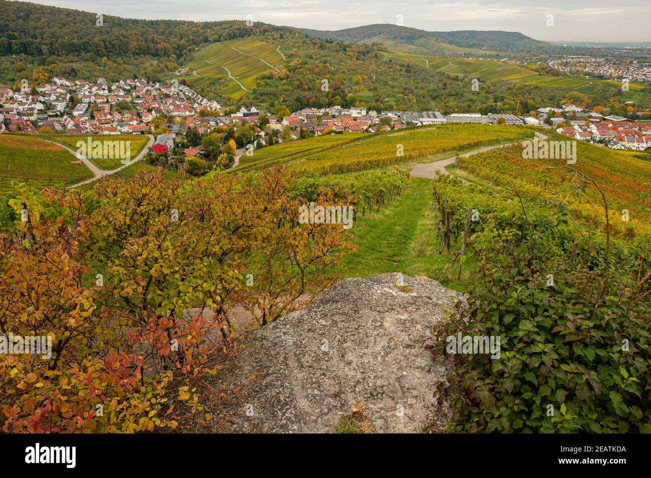 Vue du vignoble sur le village allemand Banque D'Images