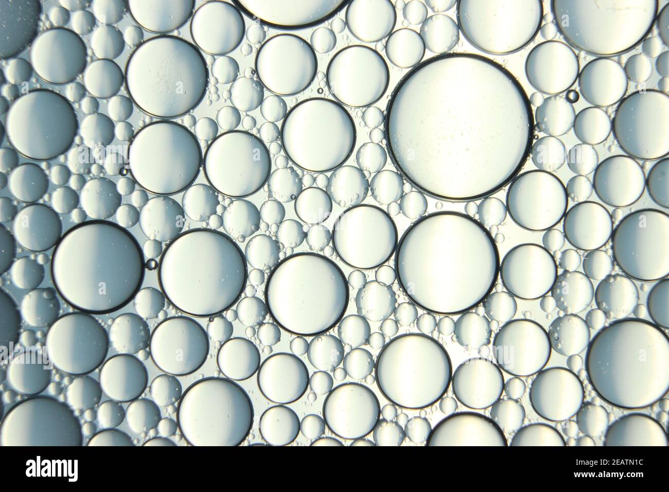 résumé macro fond des cercles d'huile flottant sur la surface de l'eau . Banque D'Images