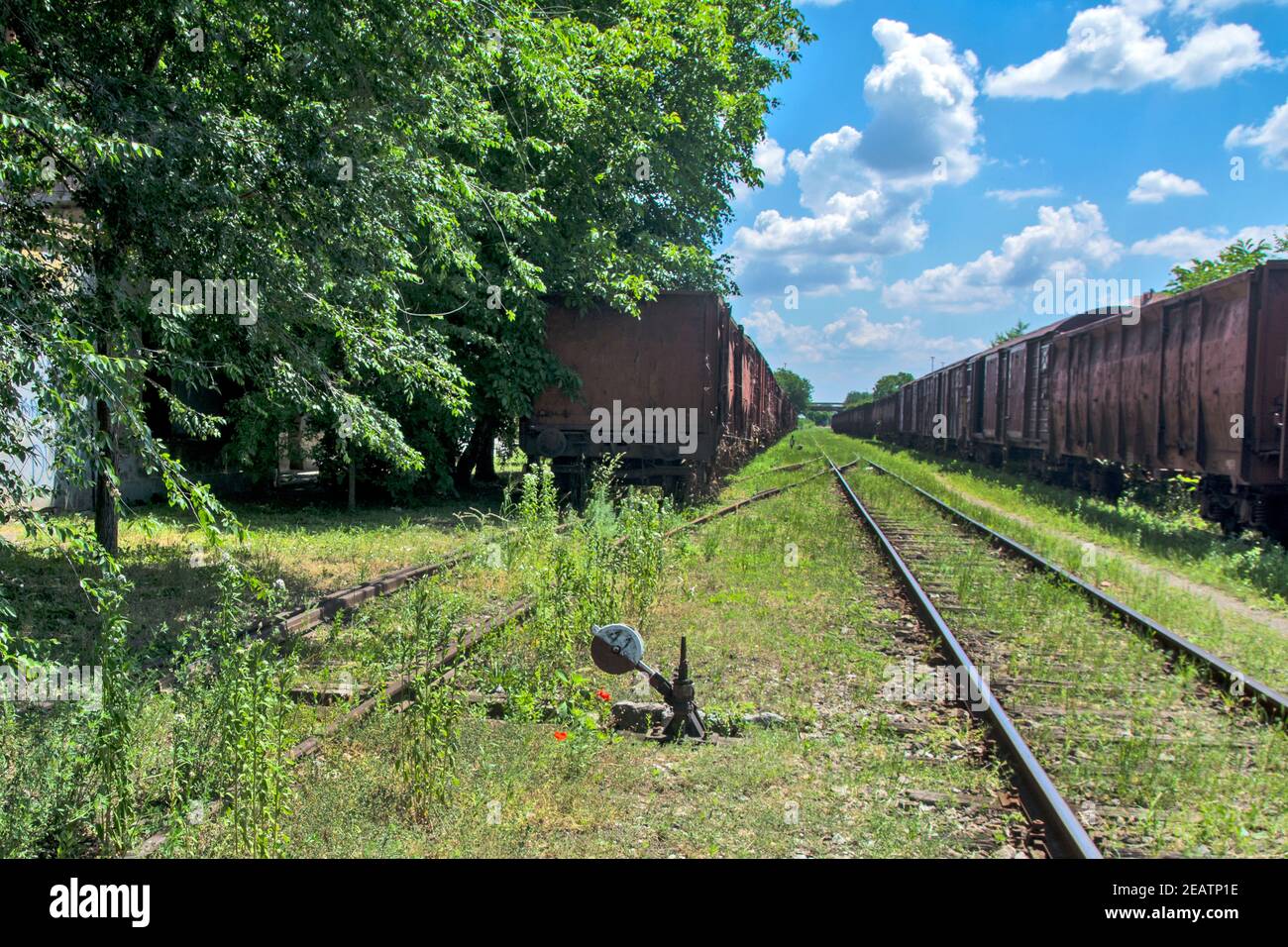 Vieux véhicules de chemin de fer volés debout sur des rails dans l'herbe. Tous ces véhicules, les wagons attendent d'être coupés en morceaux pour la fusion de l'ir Banque D'Images