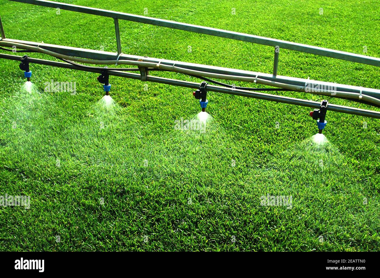 Fertilisation d'un champ planté d'herbe de jardin Banque D'Images