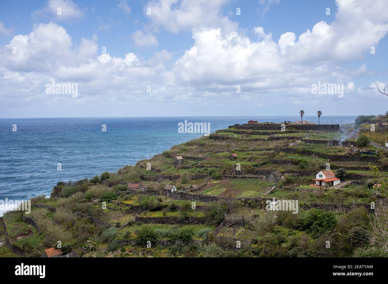 Village et cultures en terrasses dans les environs de São Vicente. La côte nord de l'île de Madère, Portugal Banque D'Images