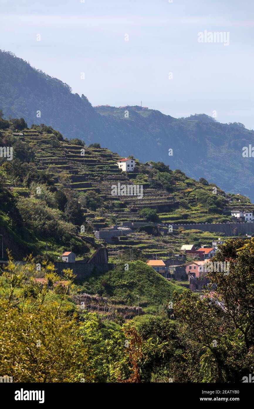 Village et cultures en terrasses dans les environs de São Vicente. La côte nord de l'île de Madère, Portugal Banque D'Images