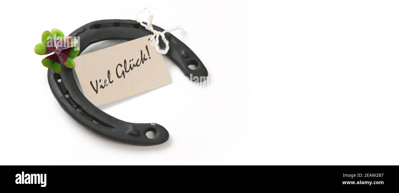 Fer à cheval avec trèfle chanceux sur fond blanc Banque D'Images