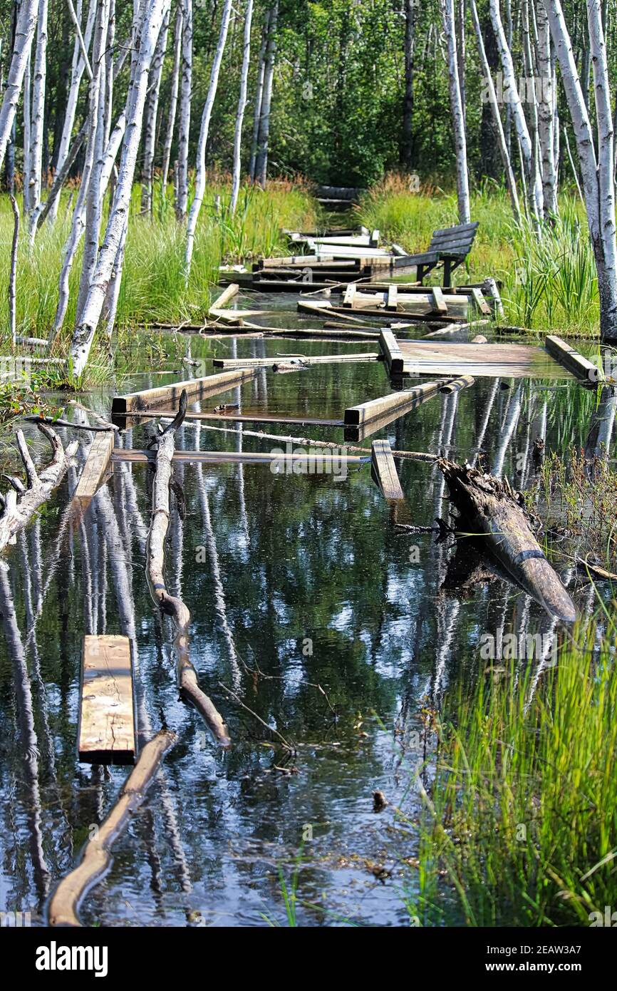 Un sentier de promenade qui a été inondé et cassé Banque D'Images