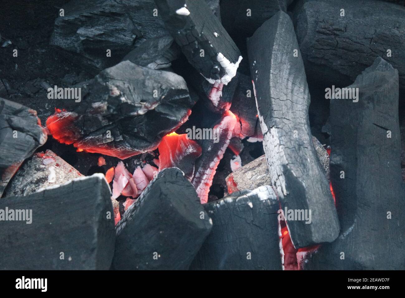 Feu sur les bûches dans la casserole de feu avec des braises et le charbon en feu et des flammes flamboyantes. Banque D'Images