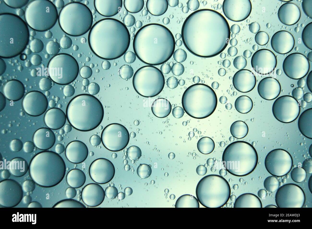 résumé macro fond des cercles d'huile flottant sur la surface de l'eau . Banque D'Images