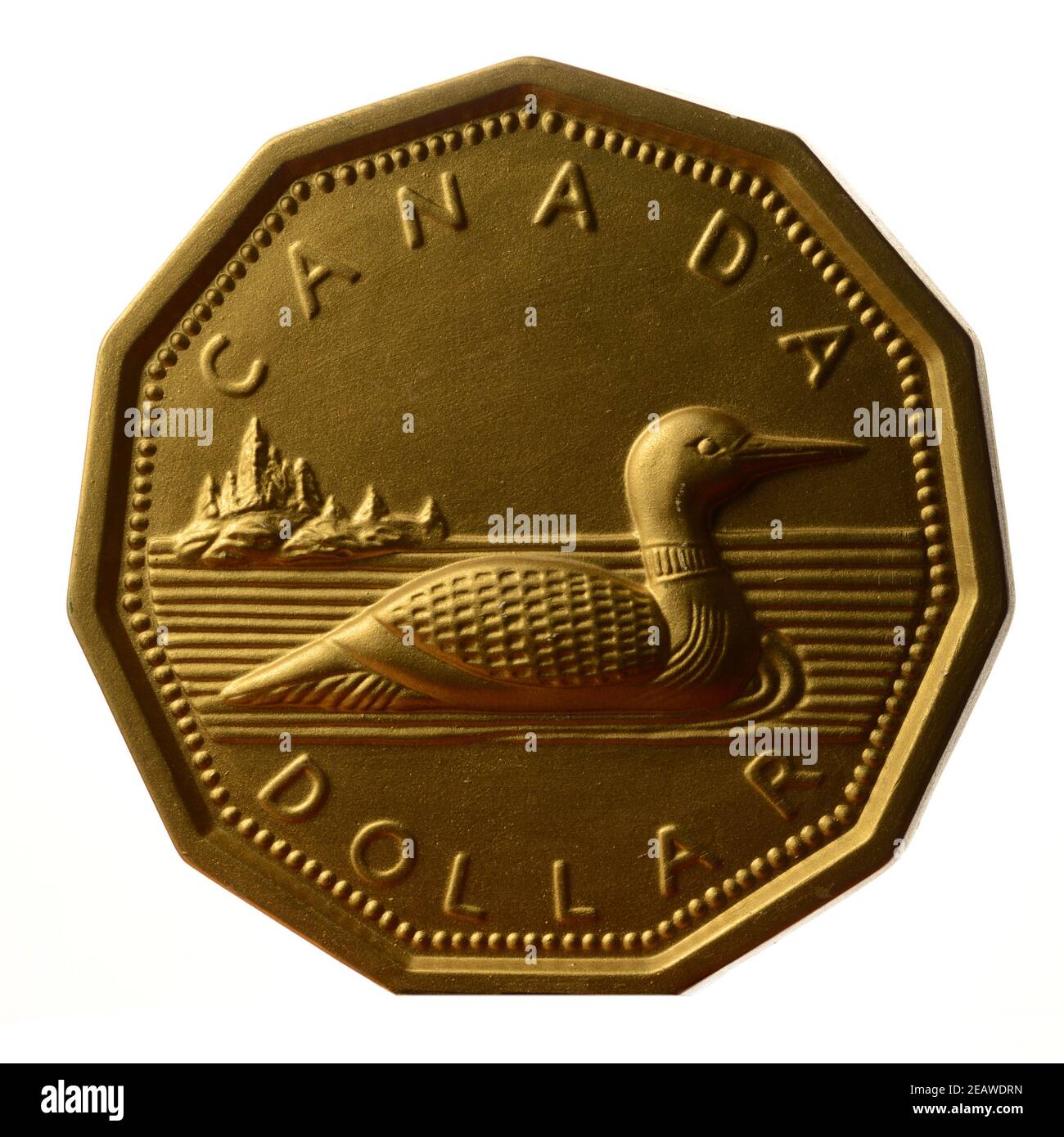 Dollar canadien Loonie Banque D'Images