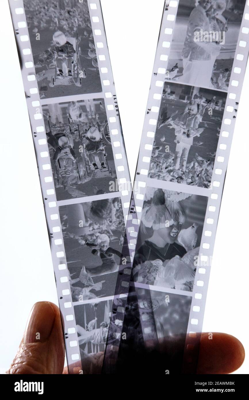 Deux bandes de négatifs film noir et blanc 35 mm Banque D'Images