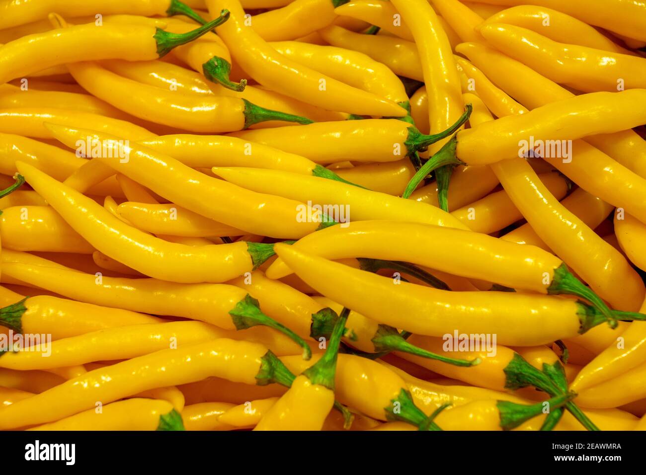 Poivrons jaunes sur le marché des légumes ou dans un magasin de gros. Fond de poivre. Banque D'Images
