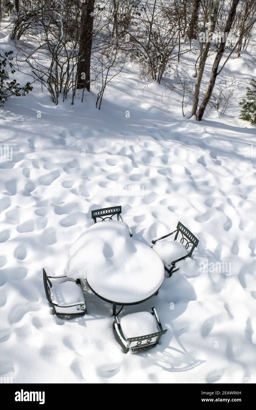 Connecticut, États-Unis, 10 février 2021 - Table de jardin et chaises recouvertes de neige. Crédit: Enrique Shore/Alamy stock photo Banque D'Images