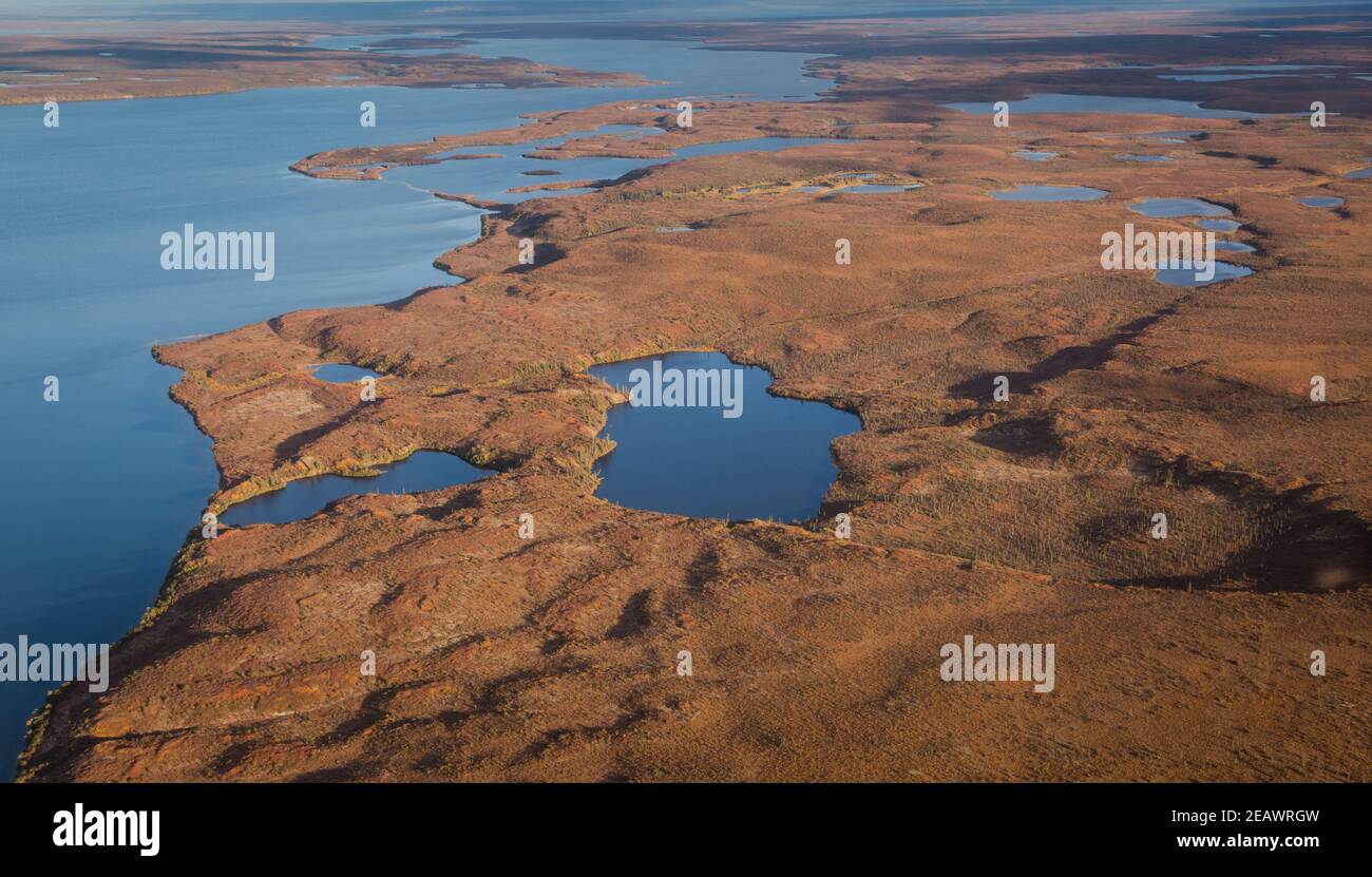 Vue aérienne en automne de la toundra arctique et des lacs, à l'extérieur de Tuktoyaktuk, dans les Territoires du Nord-Ouest, dans l'ouest de l'Arctique canadien. Banque D'Images