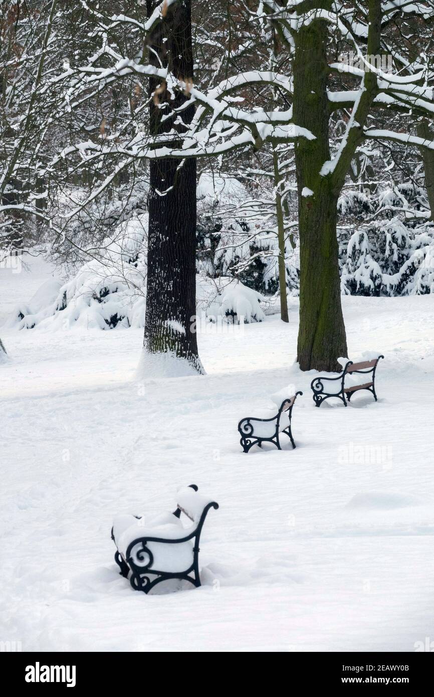 Bancs de parc couverts de neige Banque D'Images