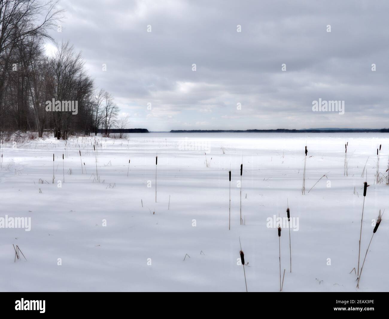 Magnifique paysage d'hiver canadien surgelé au bord de la rivière des Outaouais à l'île Petrie, Ottawa (Ontario), Canada. Banque D'Images