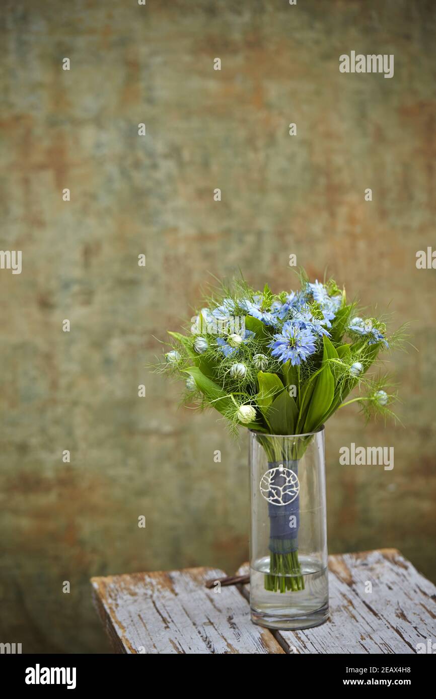 Plan vertical d'un vase de belle nigella bleue (Nigella sativa) fleurs sur fond de grunge Banque D'Images