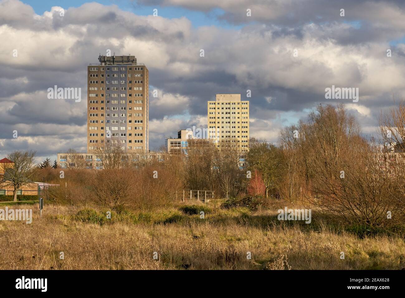 parc agricole broadwater tottenham Banque D'Images