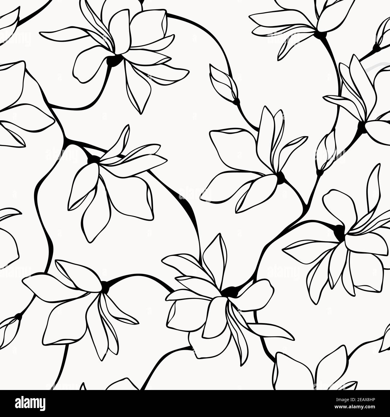 Motif floral noir et blanc sans couture vectoriel avec fleurs de magnolia. Illustration de dessin au trait. Illustration de Vecteur