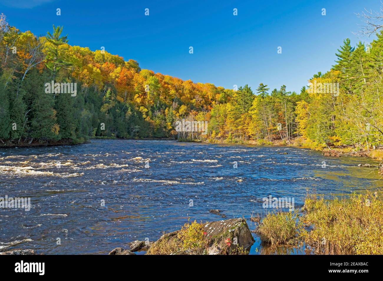 Eaux de précipitation de la rivière Menominee dans la forêt d'automne Dans le nord du Michigan Banque D'Images