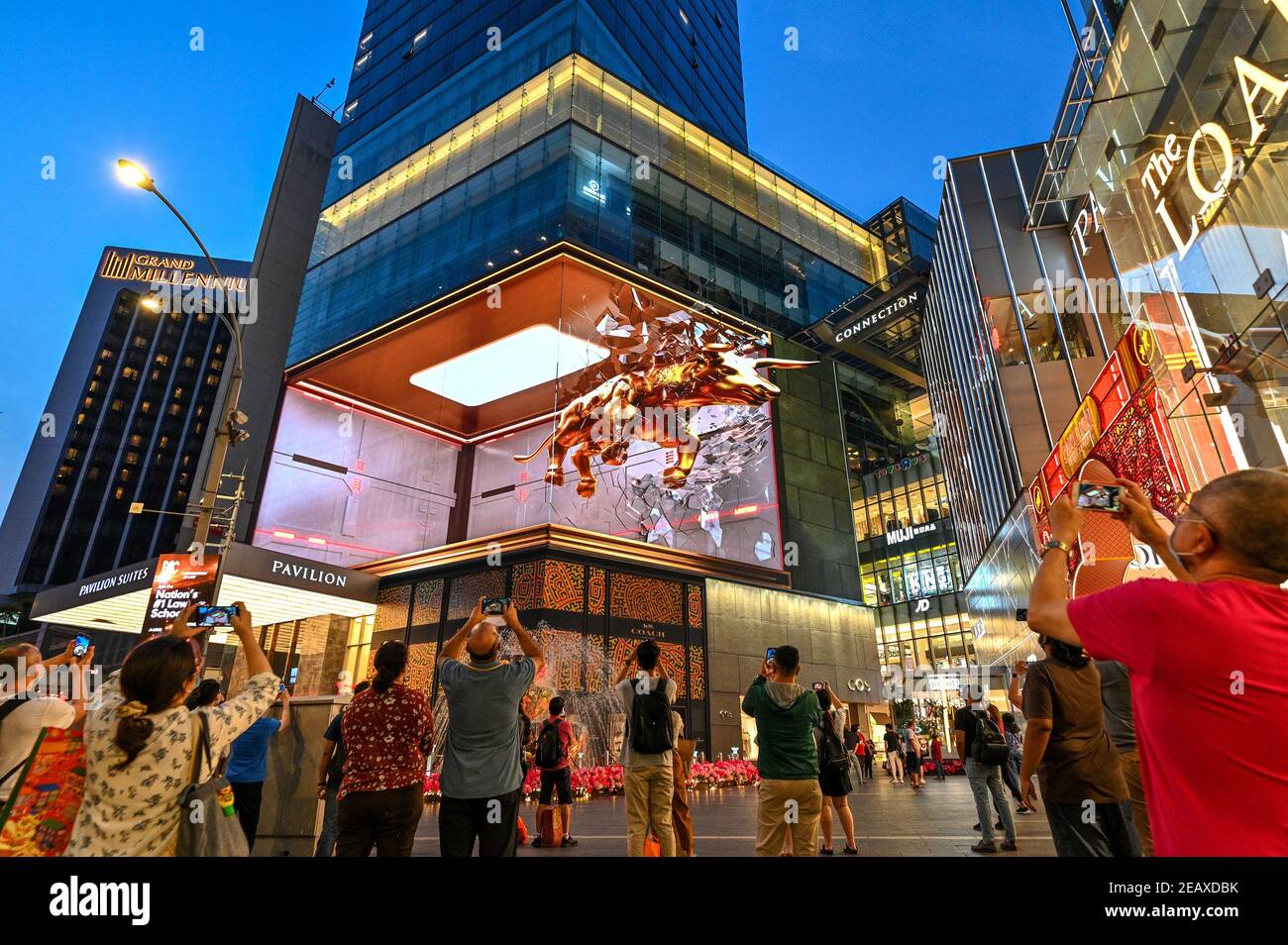 Pékin, Malaisie. 10 février 2021. Les gens prennent des photos et des clips vidéo de la vidéo 3D Golden Bull sur l'écran LED à l'extérieur d'un centre commercial à Kuala Lumpur, Malaisie, le 10 février 2021. Credit: Chong Voon Chung/Xinhua/Alay Live News Banque D'Images