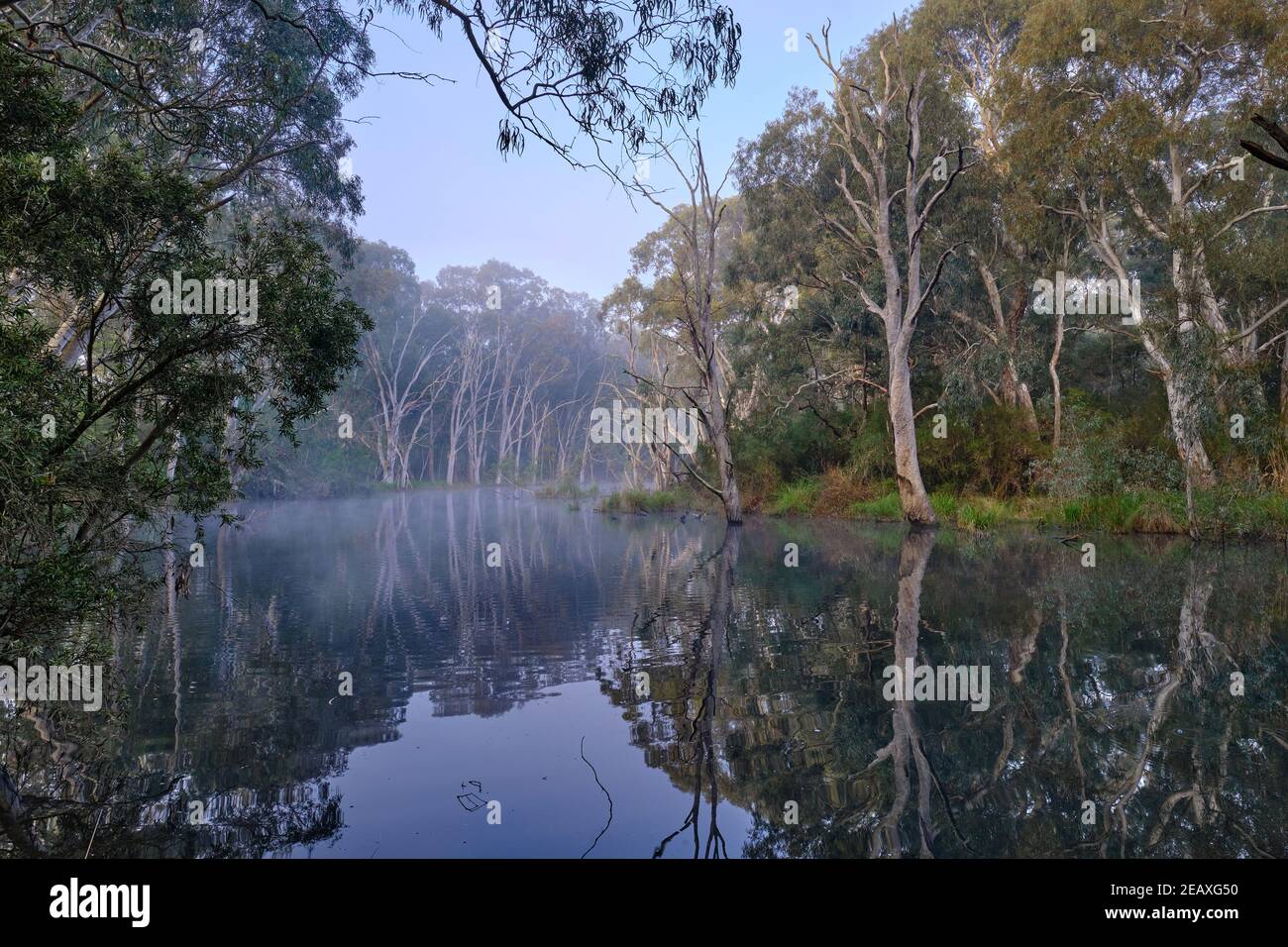 Horseshoe Billabong calme Banque D'Images