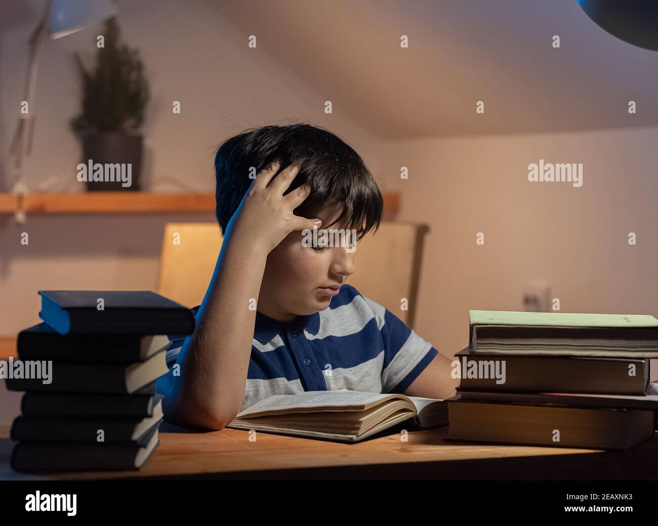 L'idée de la participation d'un enfant à l'apprentissage. Le visage concentré d'un garçon lisant un livre dans sa chambre. L'émotion d'une légère tension et concentration Banque D'Images