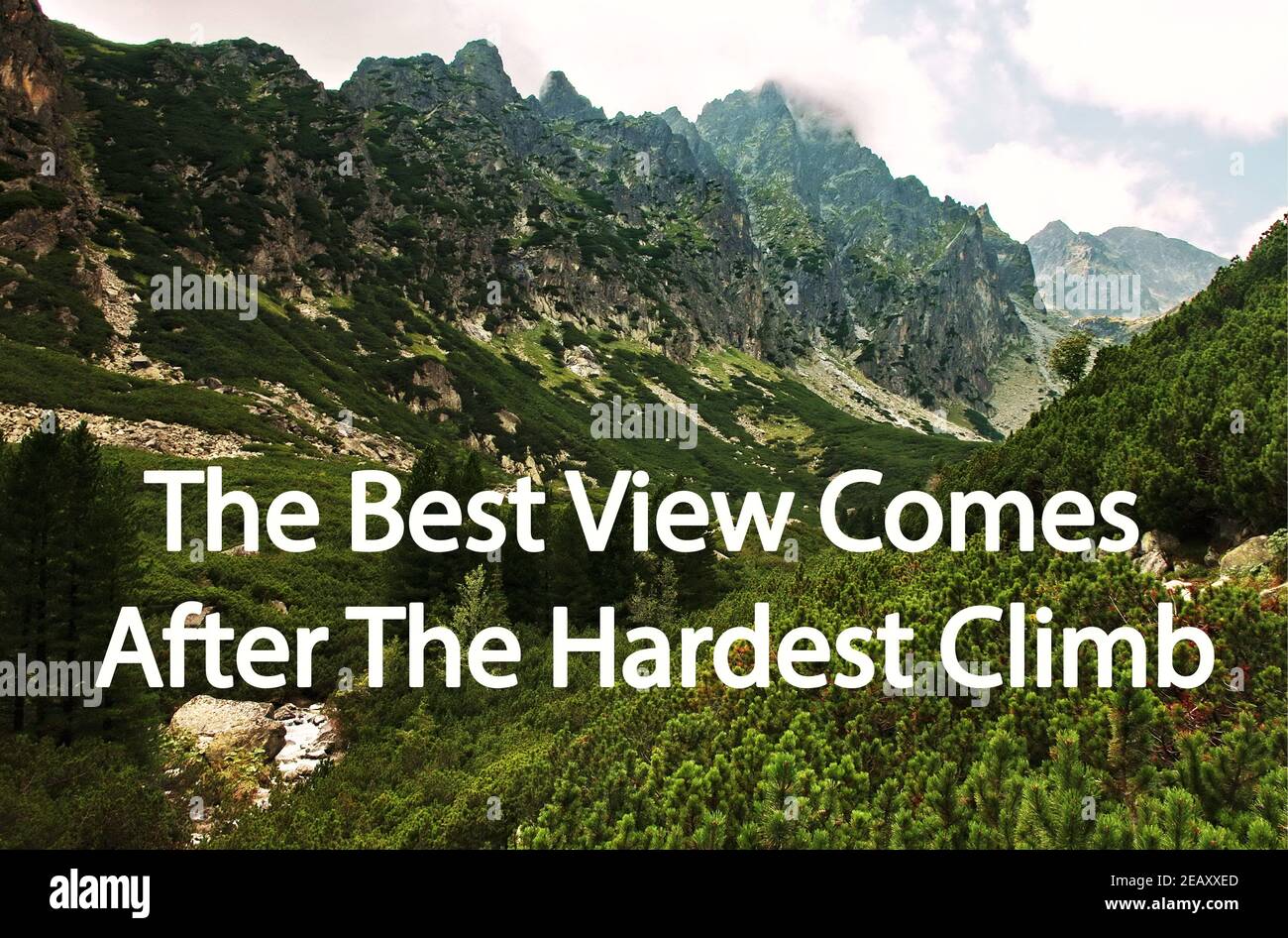 La Meilleure Vue Est Apres La Montee La Plus Difficile Citation Motivationnelle Avec Fond De Montagne Avec Belle Foret Et Paysage Slovaquie Nature Photo Stock Alamy La Meilleure Vue Est Apres La Montee La Plus Difficile Citation Motivationnelle Avec Fond De Montagne Avec Belle Foret Et Paysage Slovaquie Nature Photo Stock Alamy