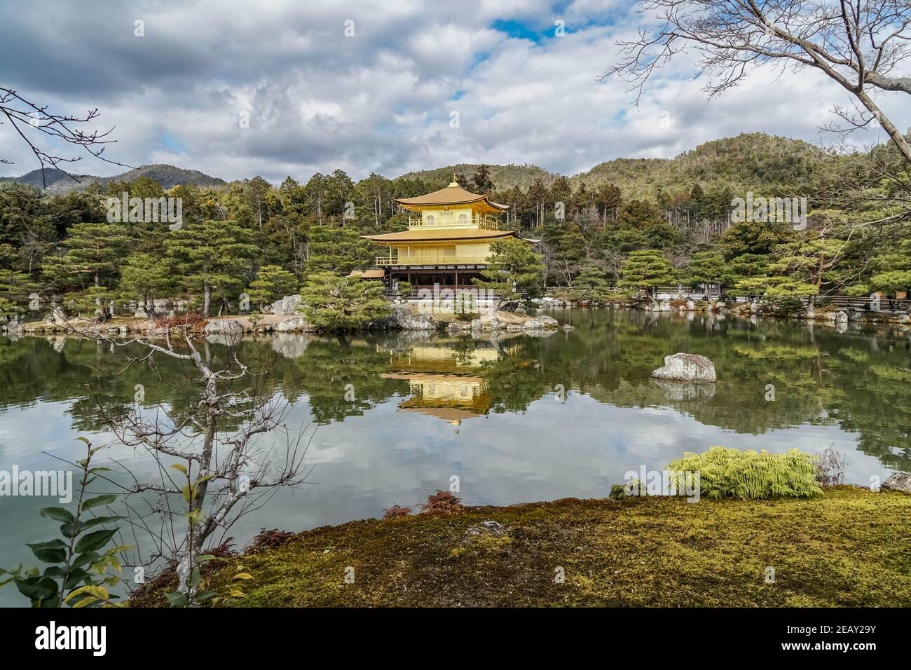 Kinkaku (Pavillon d'or), après restauration en 2021, temple de Rokuonji, Kyoto, Japon Banque D'Images