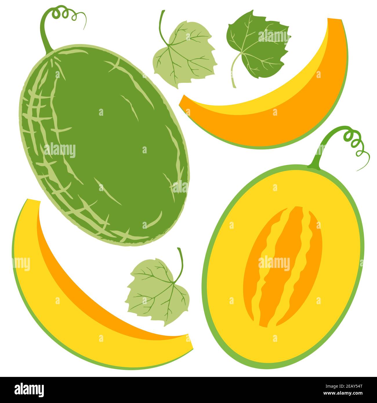 Ensemble d'éléments de melon jaune juteux Illustration de Vecteur