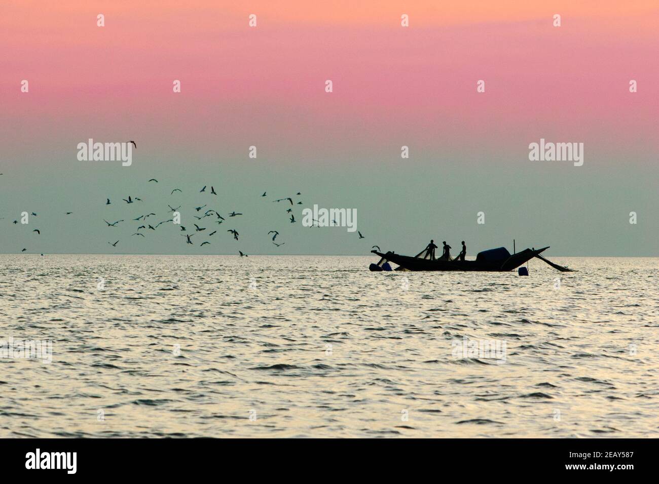 La vie de Sundarban, les bateaux traditionnels, les modes de vie, les forêts de mangroves, une belle journée Banque D'Images