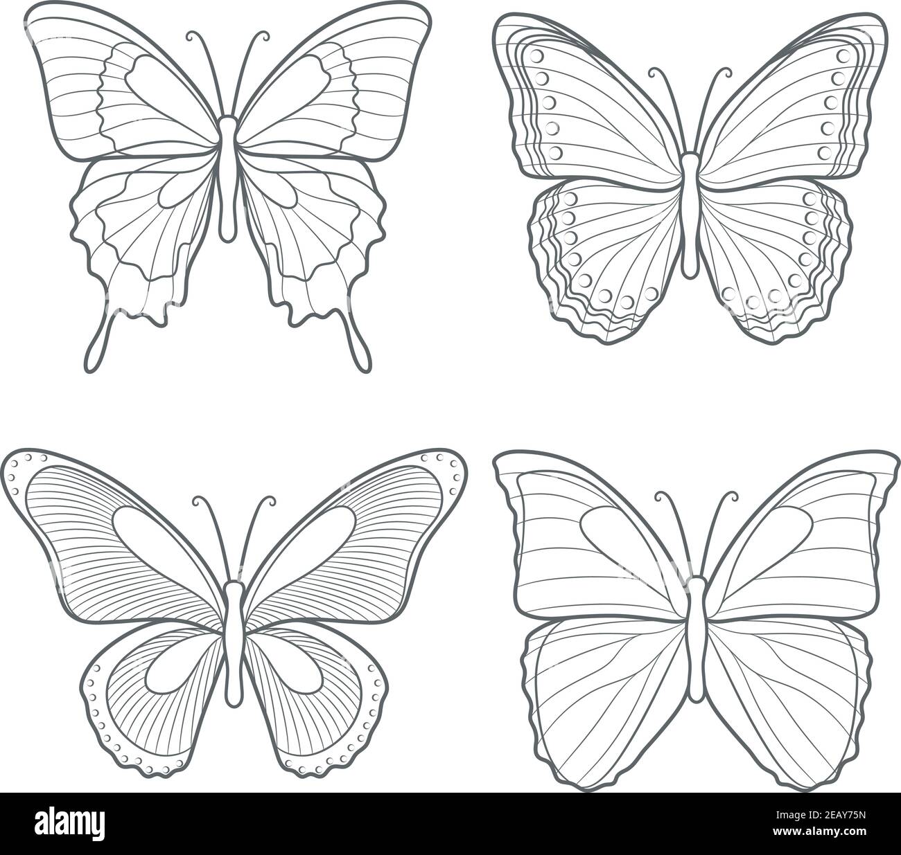Ensemble de papillons vectoriels. Objets isolés sur blanc. Illustration de Vecteur