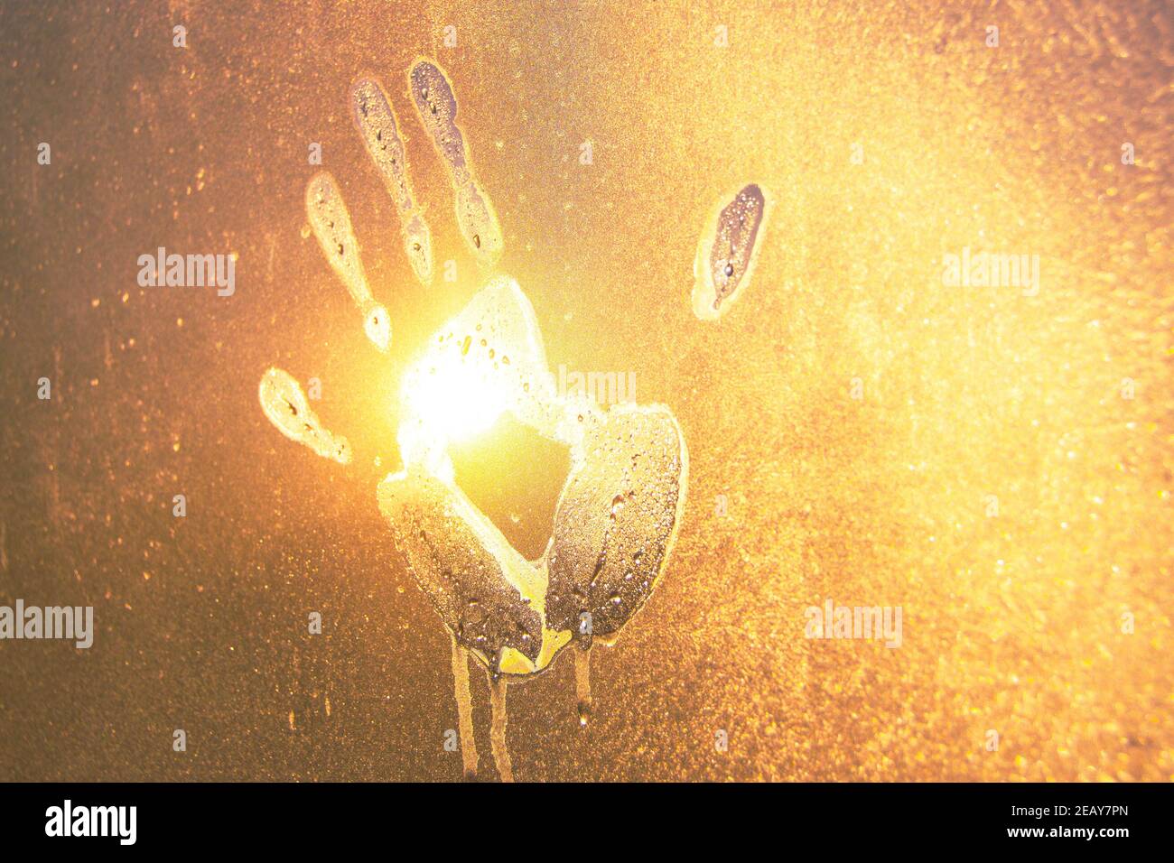 Imprimé palmier sur verre gelé avec gouttes d'eau dégoulinant la glace, matin au lever du soleil Banque D'Images