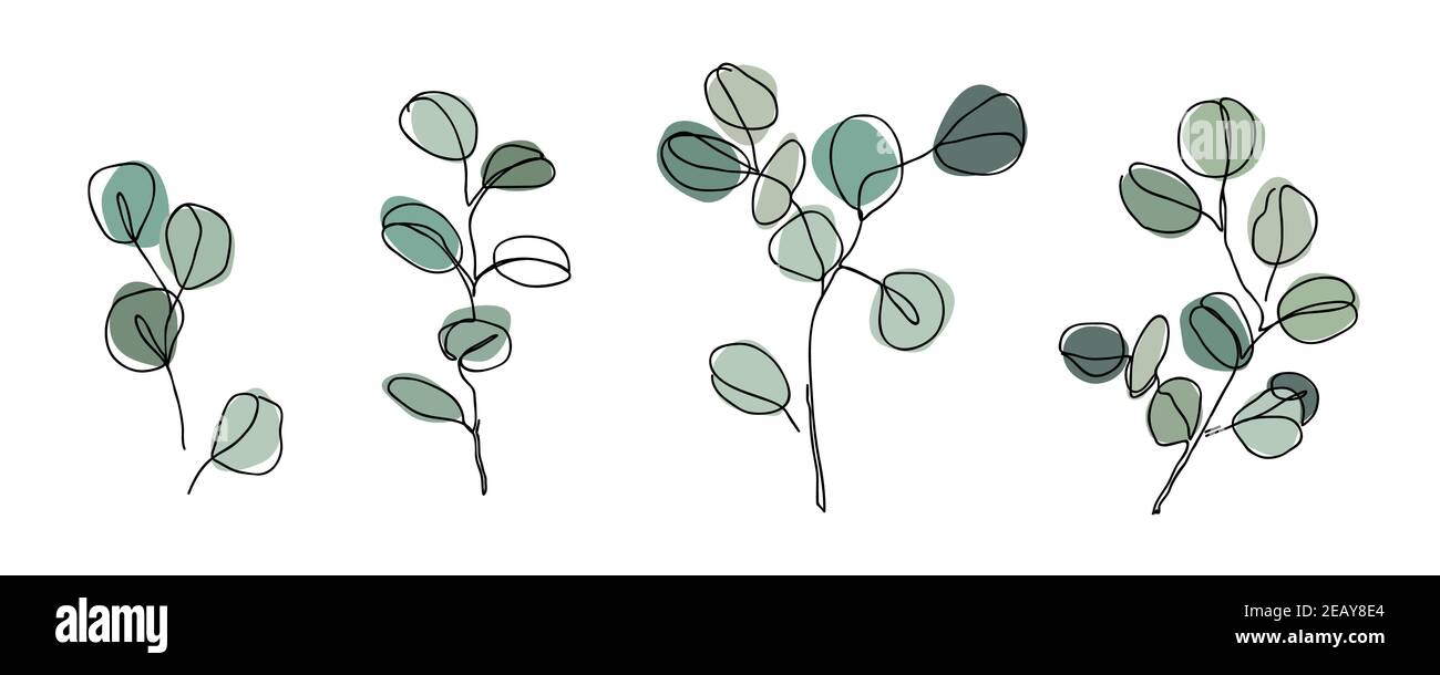 Ensemble de branches d'eucalyptus dans un style d'art moderne à une ligne. Dessin de ligne continue, contour esthétique pour la décoration d'intérieur, affiches, art mural, emballage Illustration de Vecteur