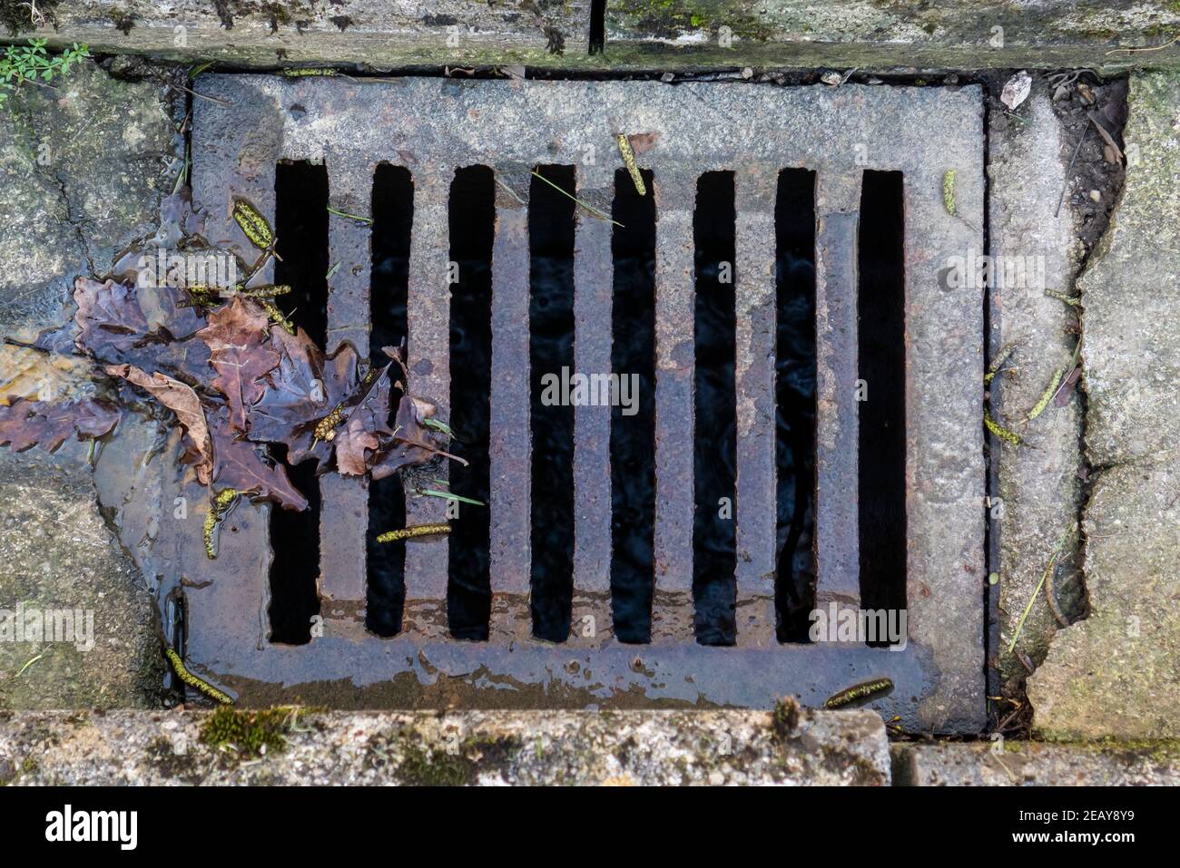 Feuillage en décomposition sur une grille de drainage de la route sur une surface en béton fissurée Banque D'Images