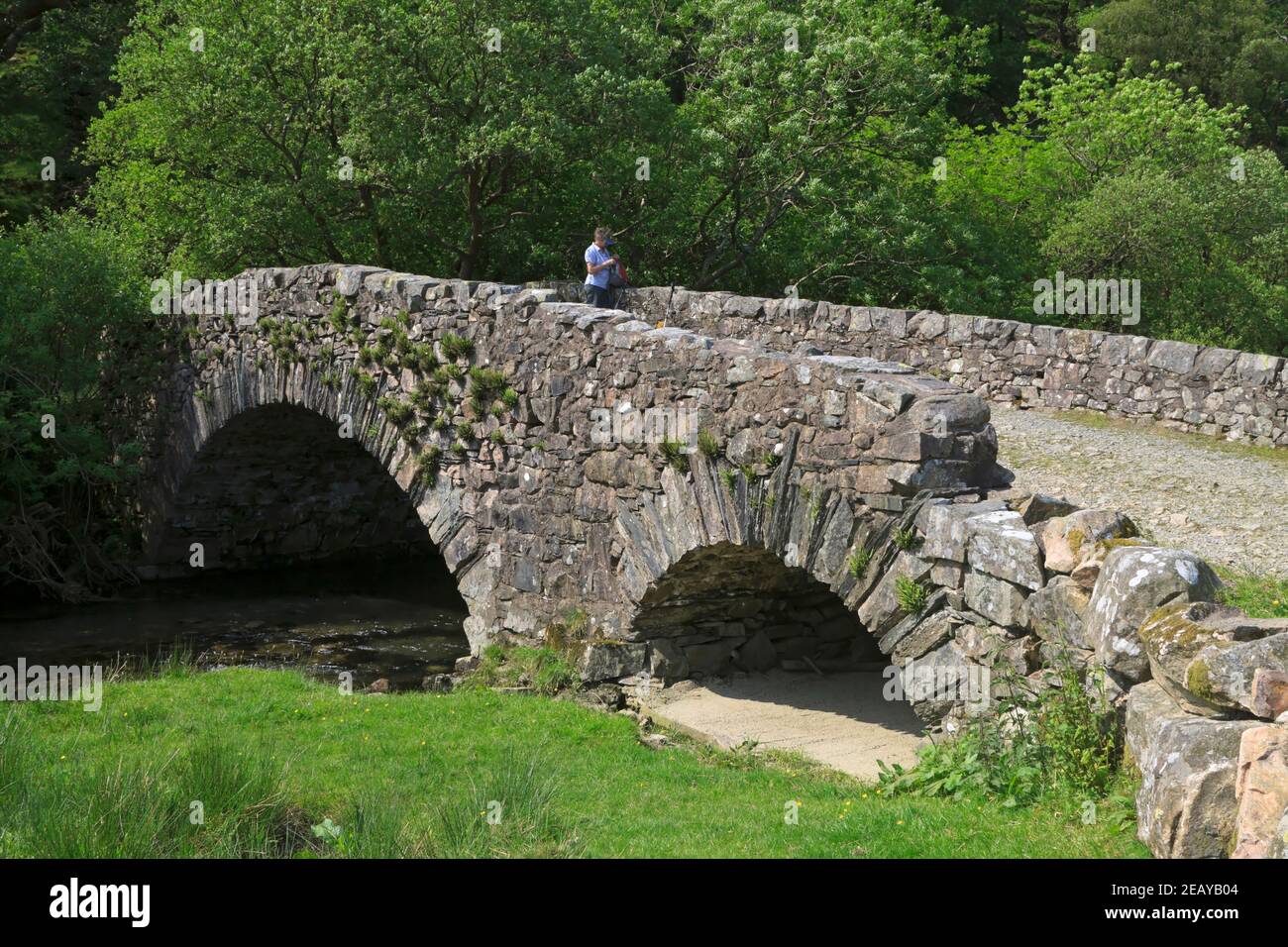 Pont de Packhorse traversant Buttermere Dubs, Cumbria. Aujourd'hui, le pont est utilisé par des légions de marcheurs qui font le circuit de Buttermere. Banque D'Images