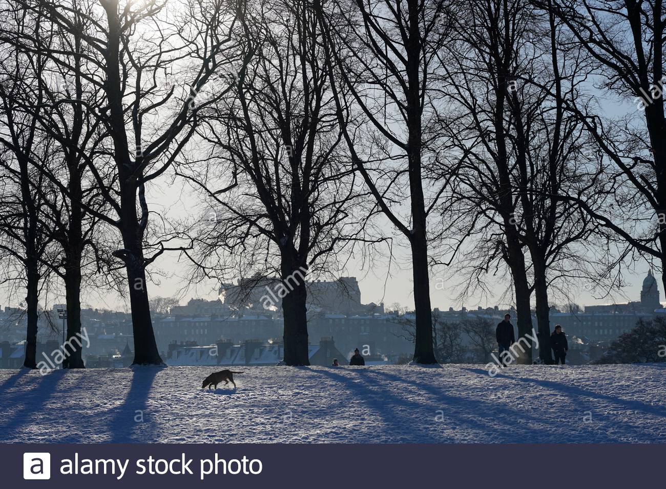 Édimbourg, Écosse, Royaume-Uni. 11 février 2021. Les gens apprécient un matin ensoleillé mais glacial dans un parc couvert de neige Inverleith. Crédit : Craig Brown/Alay Live News Banque D'Images