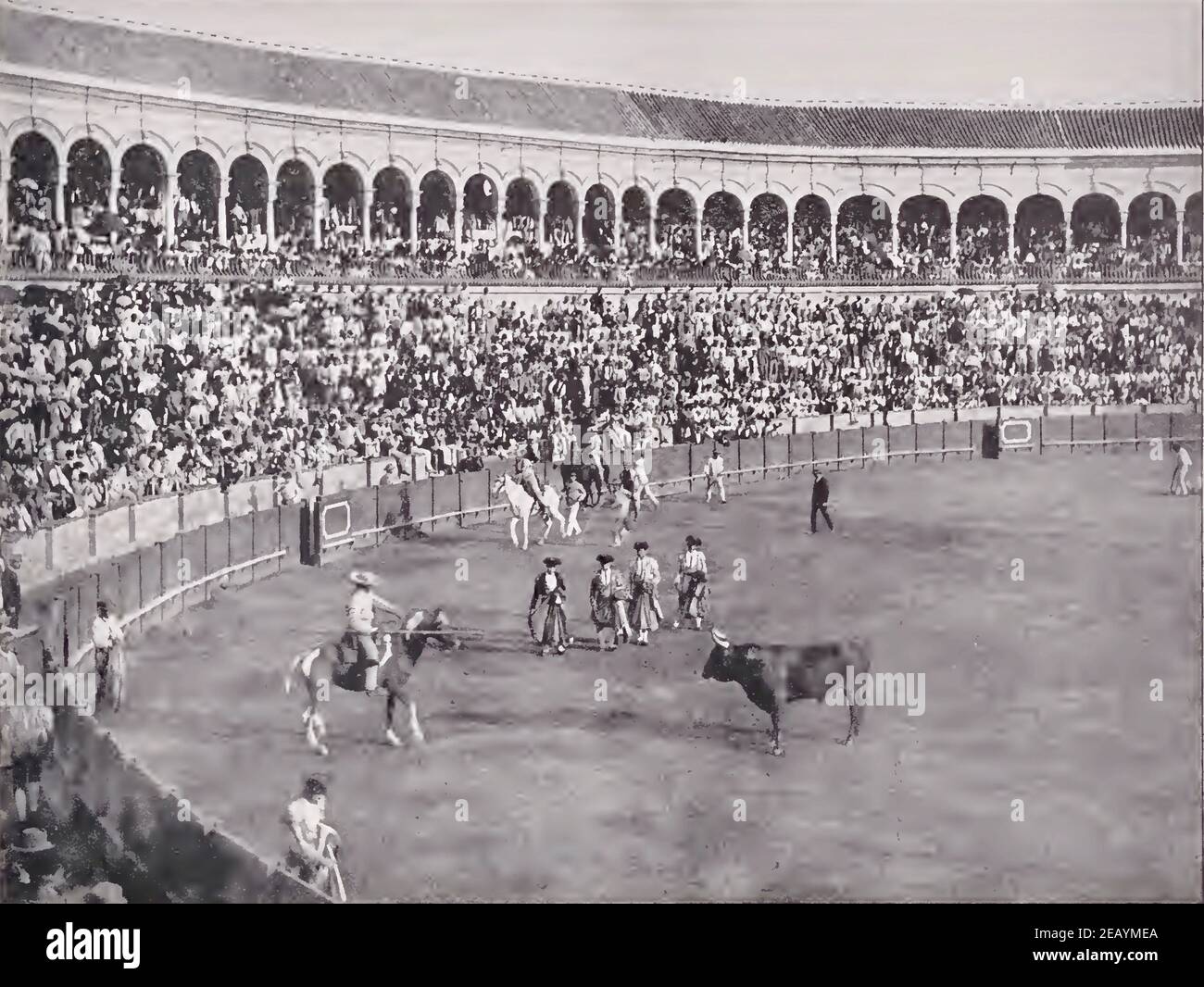 Photographie vintage 1892 d'un taureau qui se déroule à Séville, Espagne. Un cheval picador est vu en goading le taureau. Banque D'Images