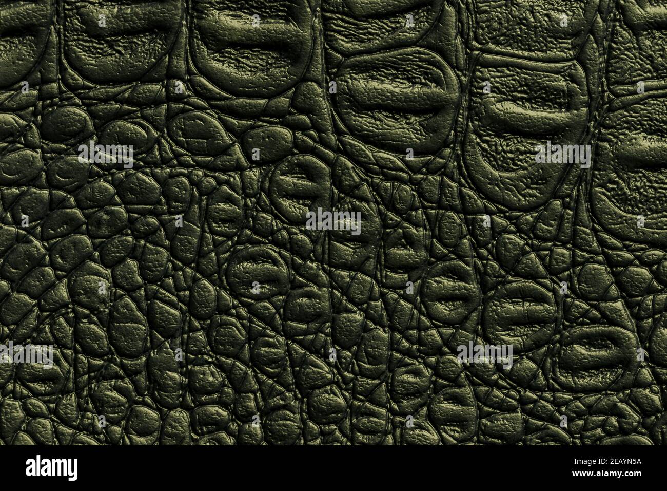 Fond en cuir vert foncé, gros plan. Peau d'olive reptile, macro. Nature structure du textile. Toile de fond décorative crocodile de luxe. Banque D'Images