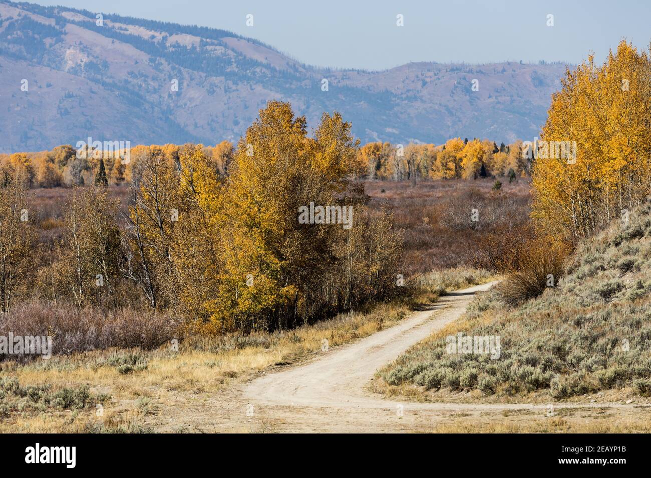 Parc National de Grand Teton dans le Wyoming Banque D'Images