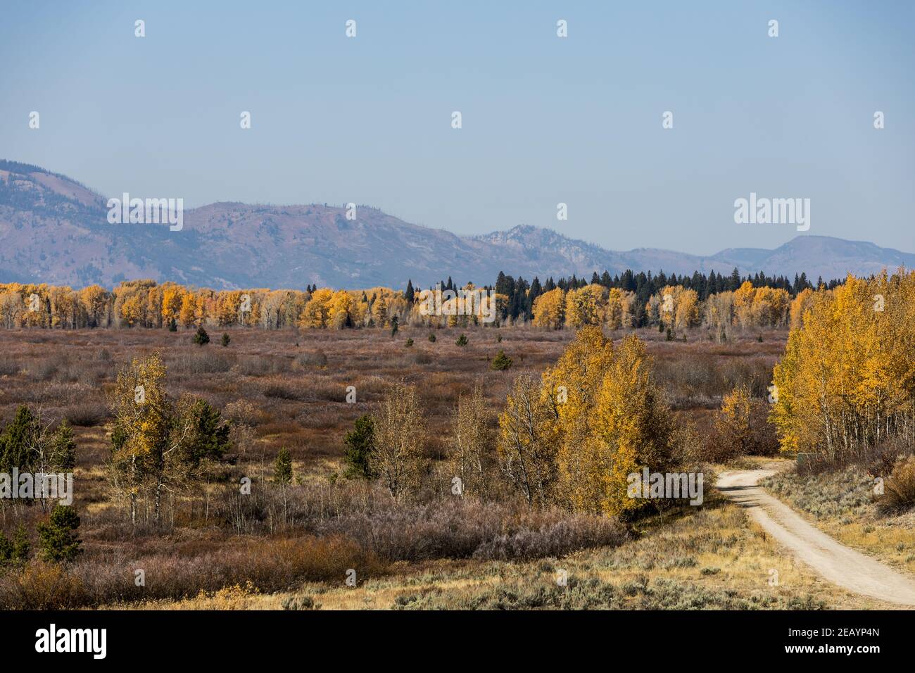 Parc National de Grand Teton dans le Wyoming Banque D'Images