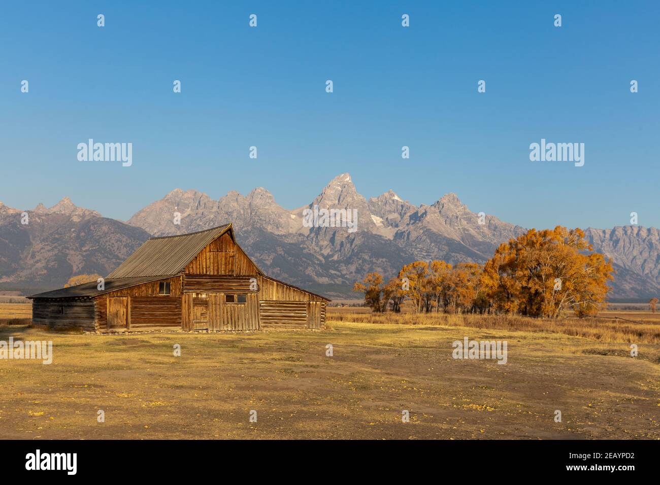 Moose, Wyoming États-Unis - 10 octobre 2020 : Barn Thomas A. Molton près de Mormon Row sur le chemin Antelope Flats à Moose, Wyoming. Les montagnes du Grand Teton. Banque D'Images