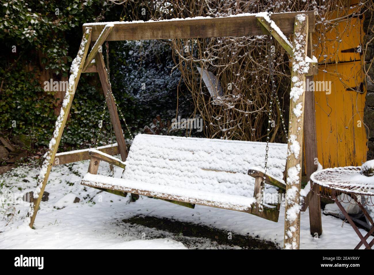 Balancement de plantation sous la neige, Co Monaghan, Irlande Banque D'Images