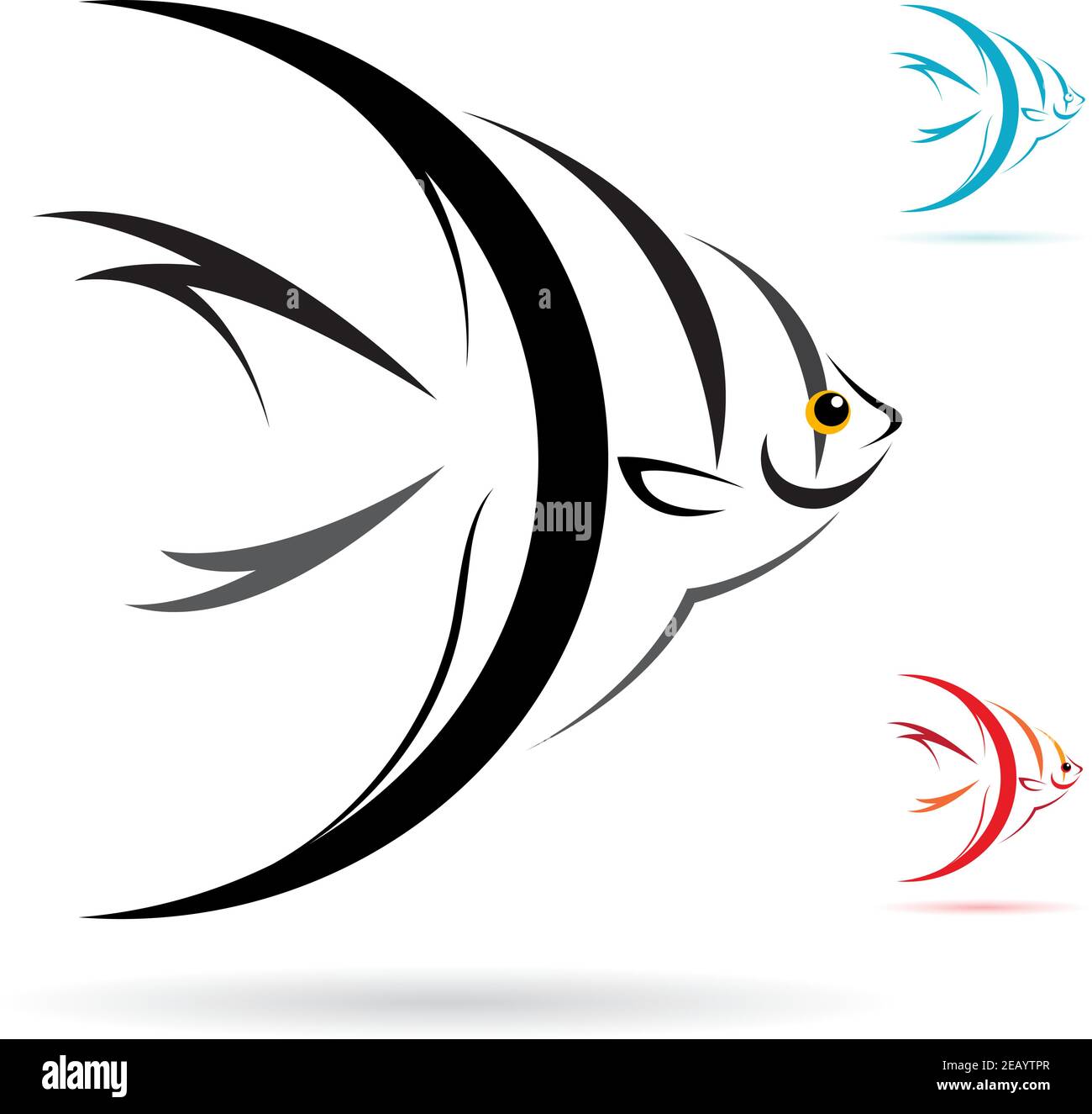 Vecteur de poisson ange sur fond blanc. Illustration vectorielle superposée facile à modifier. Animaux sauvages. Illustration de Vecteur