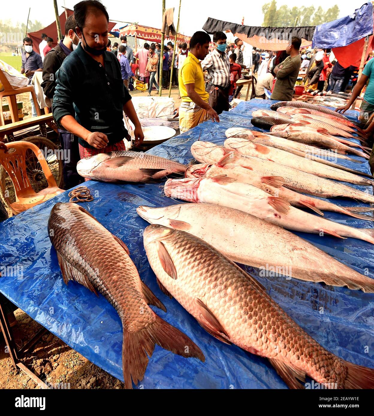 Bogra. 11 février 2021. Une pile de poissons est vue à une vieille foire de poissons avec une histoire de plus d'un siècle à Bogra, Bangladesh, le 10 février 2021. Credit: Xinhua/Alay Live News Banque D'Images