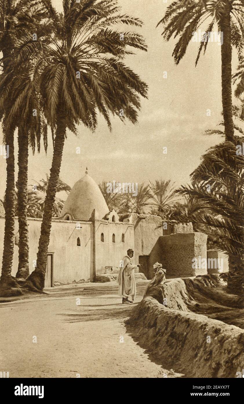 Une photo du début du XXe siècle d'une mosquée de village à Biskra Algérie vers 1920 photographié par Donald McLeish Banque D'Images
