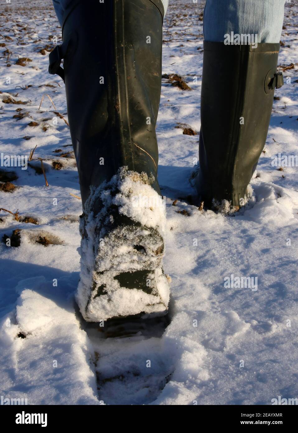 jeune homme marchant dans la neige à bottes wellington Banque D'Images