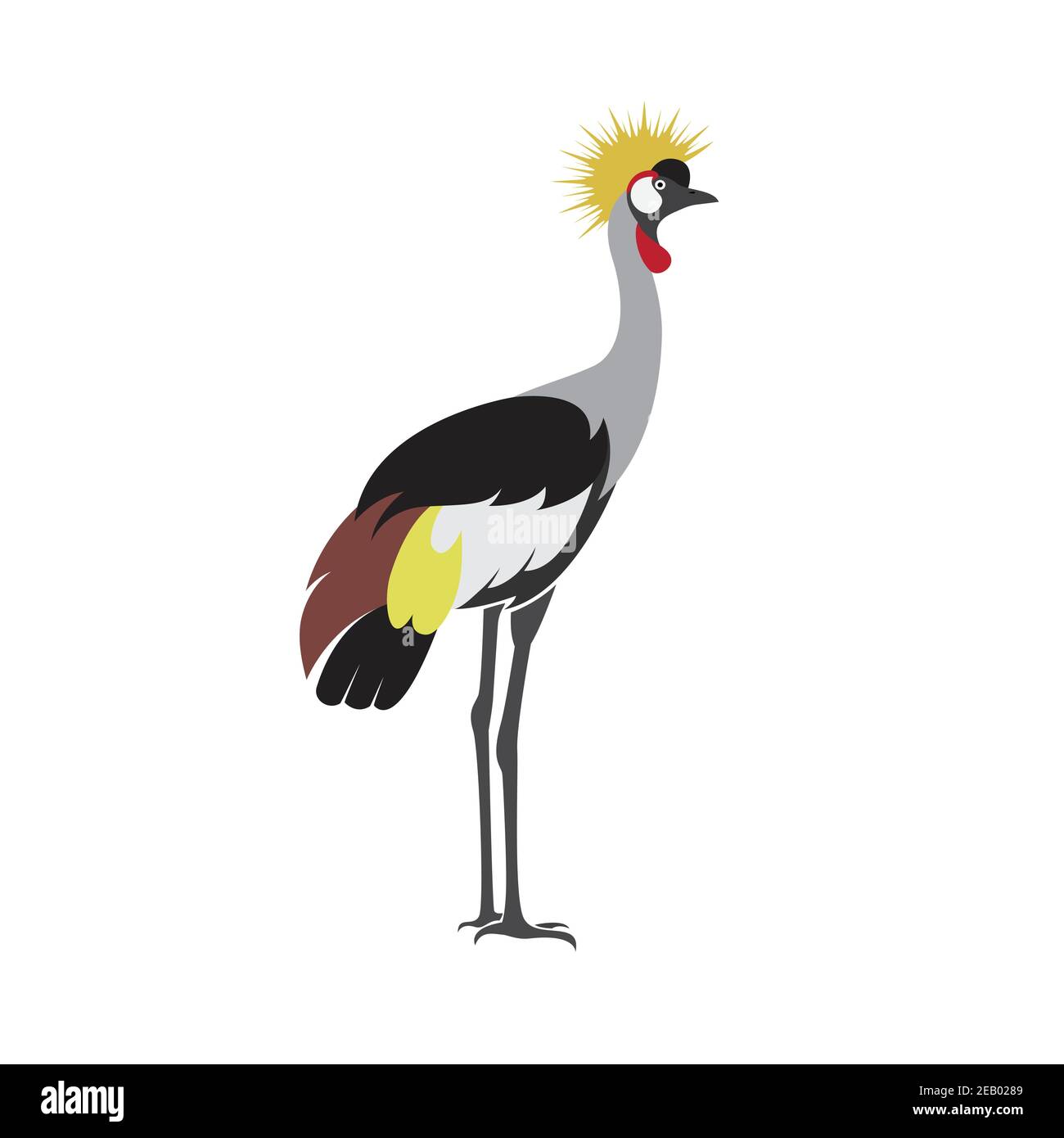 Vecteur de conception d'oiseau de grue couronné (grue couronnée africaine)) sur fond blanc. Icône oiseau Illustration de Vecteur