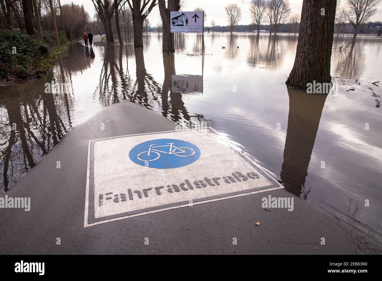 Inondation du Rhin le 5 février. 2021, rue cyclable inondée sur les rives du Rhin dans le district de Poll, Cologne, Allemagne. Hochwasser d Banque D'Images